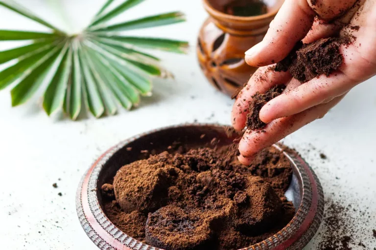 7 engrais et fertilisants naturels cachés dans votre maison pour un jardin et potager florissants