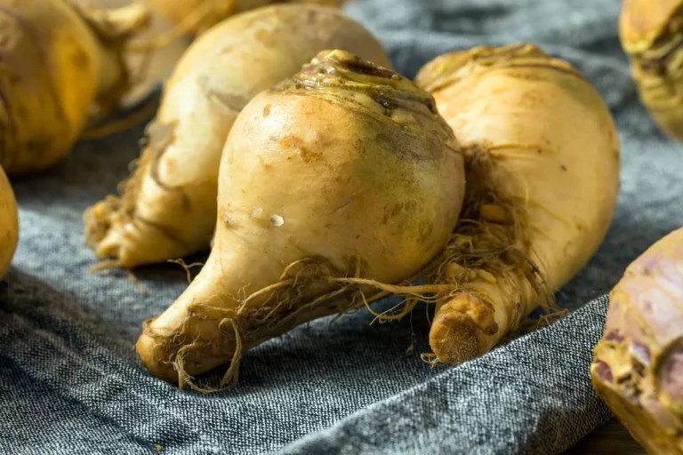 Plantez ces 5 légumes oubliés et transformez votre potager en 2024