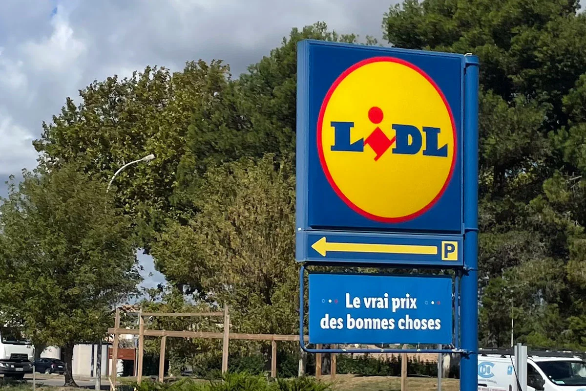 Chez Lidl, découvrez des offres éblouissantes avec ces plantes de Noël