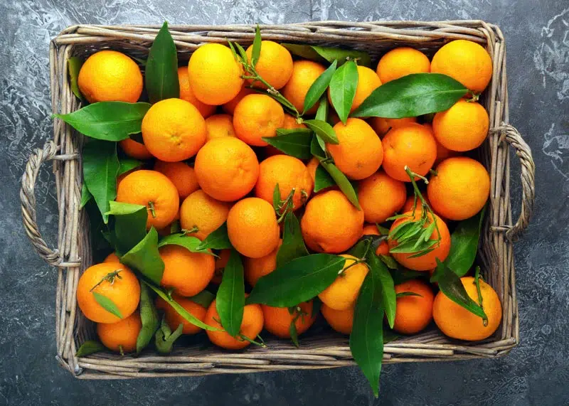 Les différences notables entre la mandarine et la clémentine