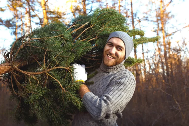 recycler sapin après Noël