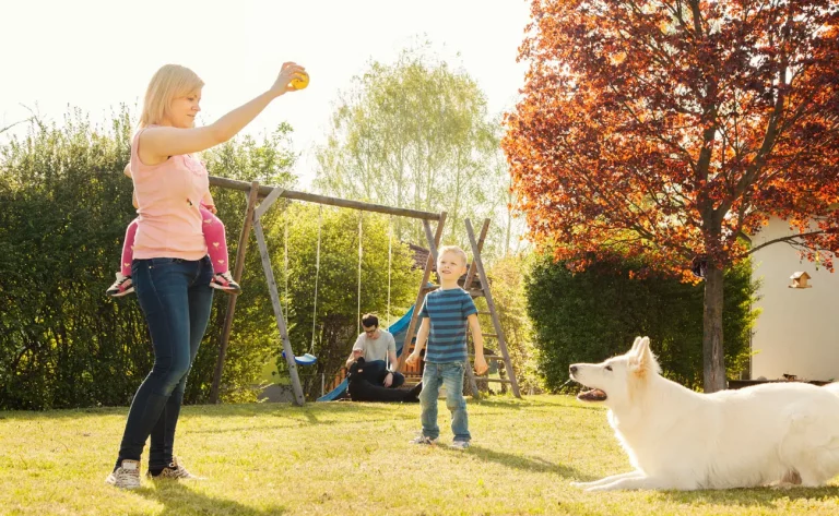 Aménagez votre jardin pour le bonheur de votre chien