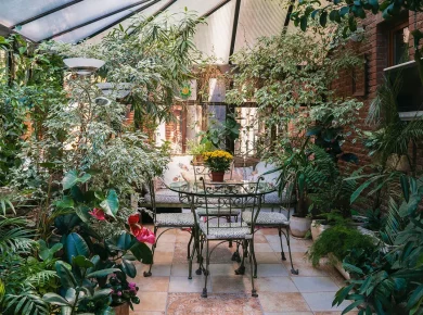 Profitez de l'hiver pour créer votre jardin d'intérieur : 5 bonnes idées pour démarrer