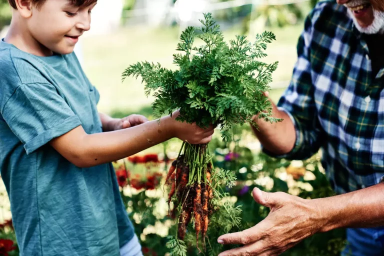 Bonne résolution 2024 : comment installer votre 1er carré potager ?