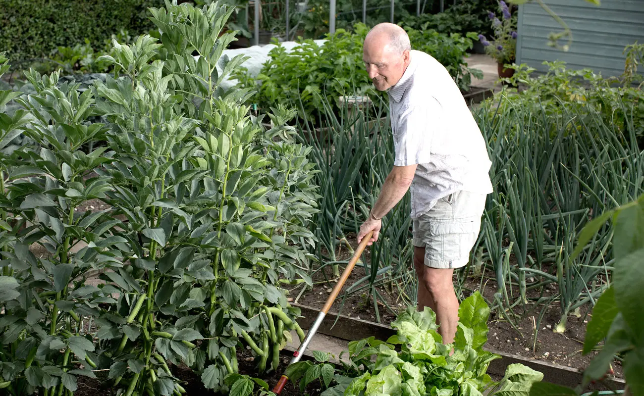 5 outils indispensables à acheter en solde pour commencer votre potager