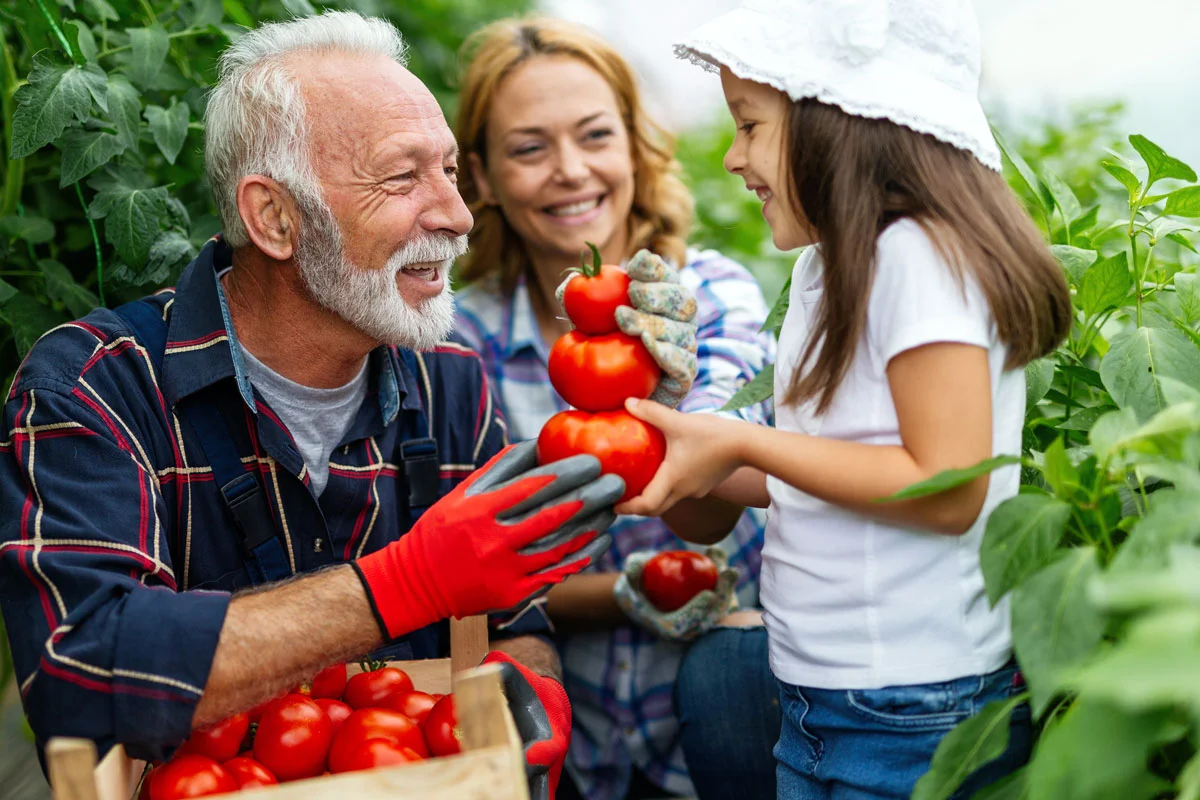 Passez au bio en 2024 : les 5 conseils essentiels pour votre potager