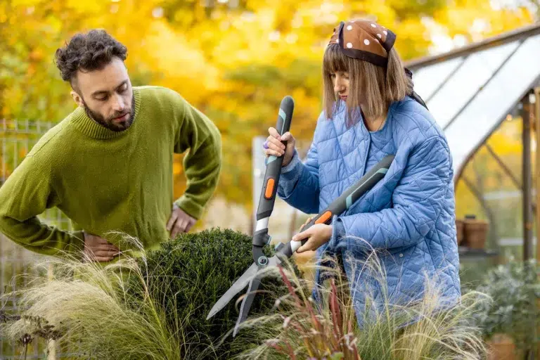 Tous les travaux à réaliser dans le jardin et le potager en février