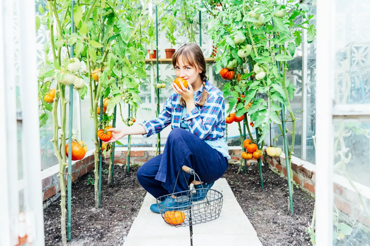 Voici les variétés de tomates idéales pour votre potager