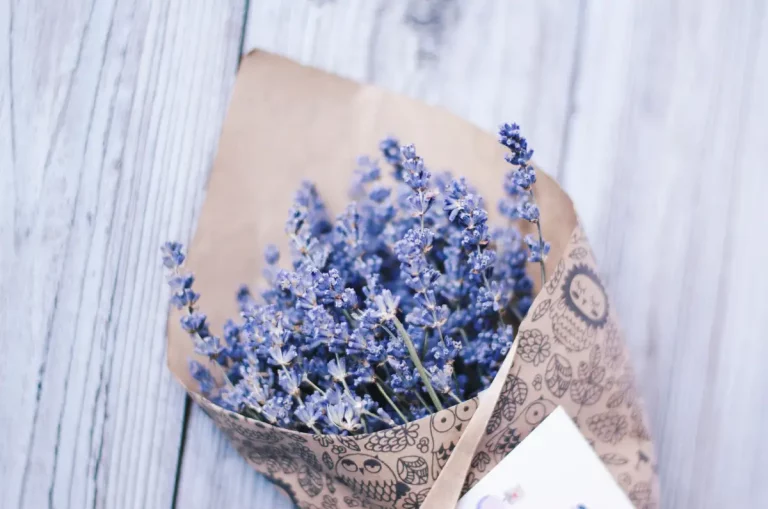 L'astuce jardin : la lavande, alliée précieuse des arbres fruitiers