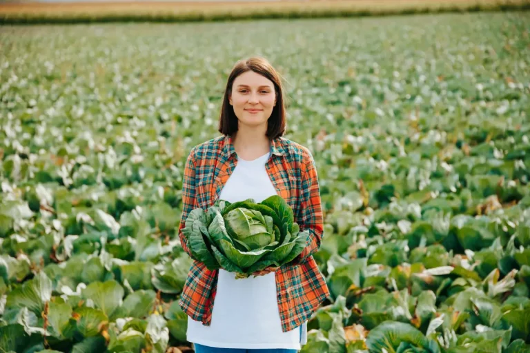 5 astuces pour prolonger la saison des choux dans votre potager