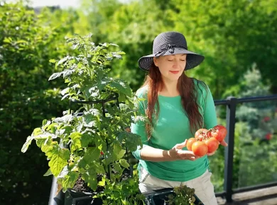 14,95€ révolutionnent votre balcon chez Action : cultivez fruits & légumes sans effort