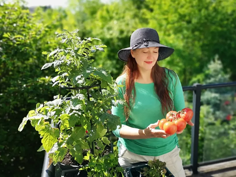 14,95€ révolutionnent votre balcon chez Action : cultivez fruits & légumes sans effort