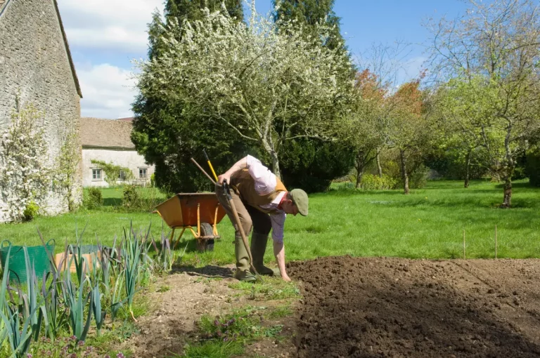 Votre potager en mars : les travaux essentiels à ne pas manquer