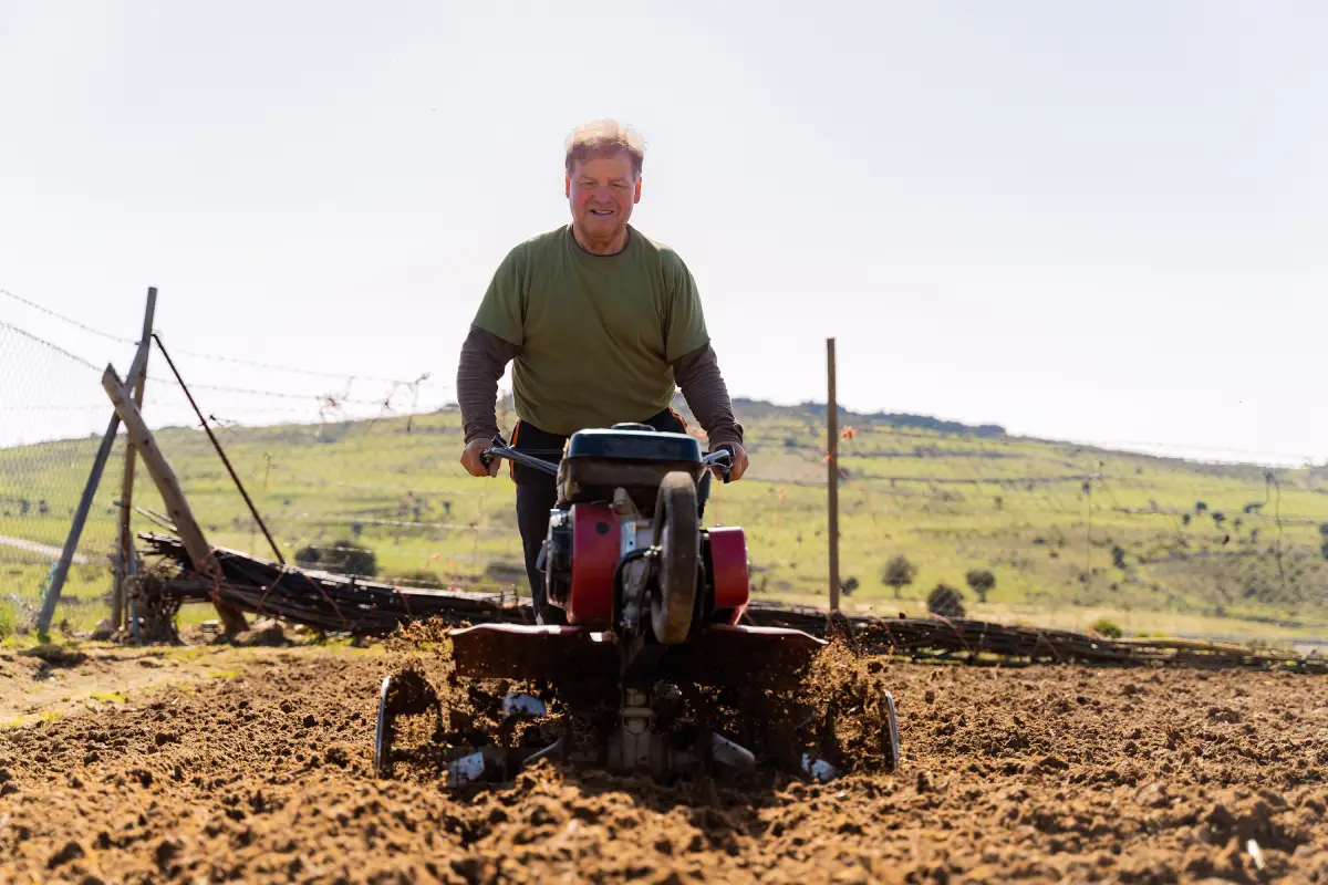 Labourer la terre : pratique dépassée nuisant aux sols ? Démêlons le vrai du faux !