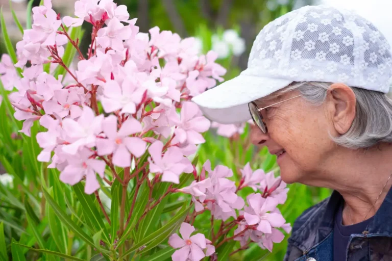 7 plantes pour aménager une terrasse venteuse facilement