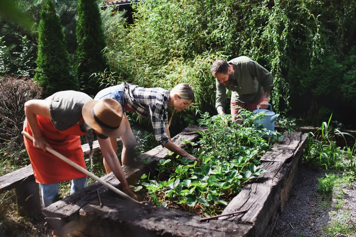 Les essentiels pour commencer votre potager : 7 outils indispensables