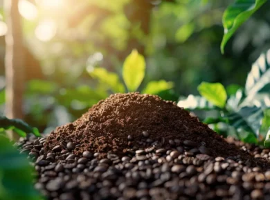 5 manières surprenantes d'utiliser le marc de café dans votre jardin