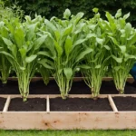 découvrez dans cet article les incontournables à planter au potager en mai et les conseils pour réussir votre plantation.