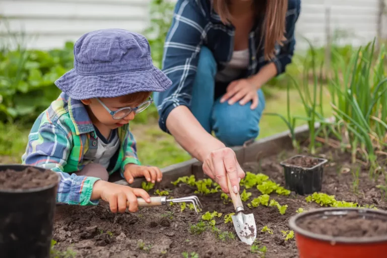 Comment planifier la rotation des cultures dans votre potager ?