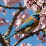 découvrez nos solutions efficaces pour éloigner les oiseaux des cerisiers et protéger votre récolte de manière naturelle et respectueuse de l'environnement.