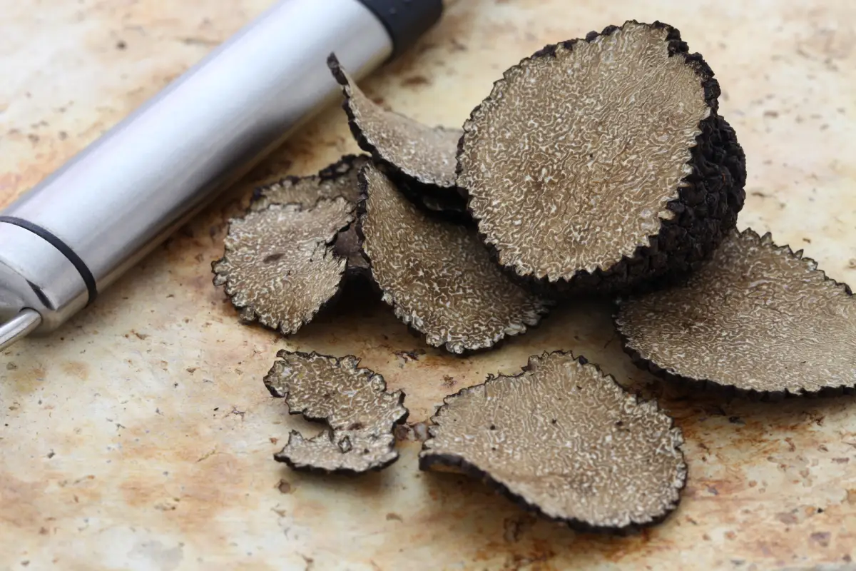 Comment conserver efficacement vos truffes ?