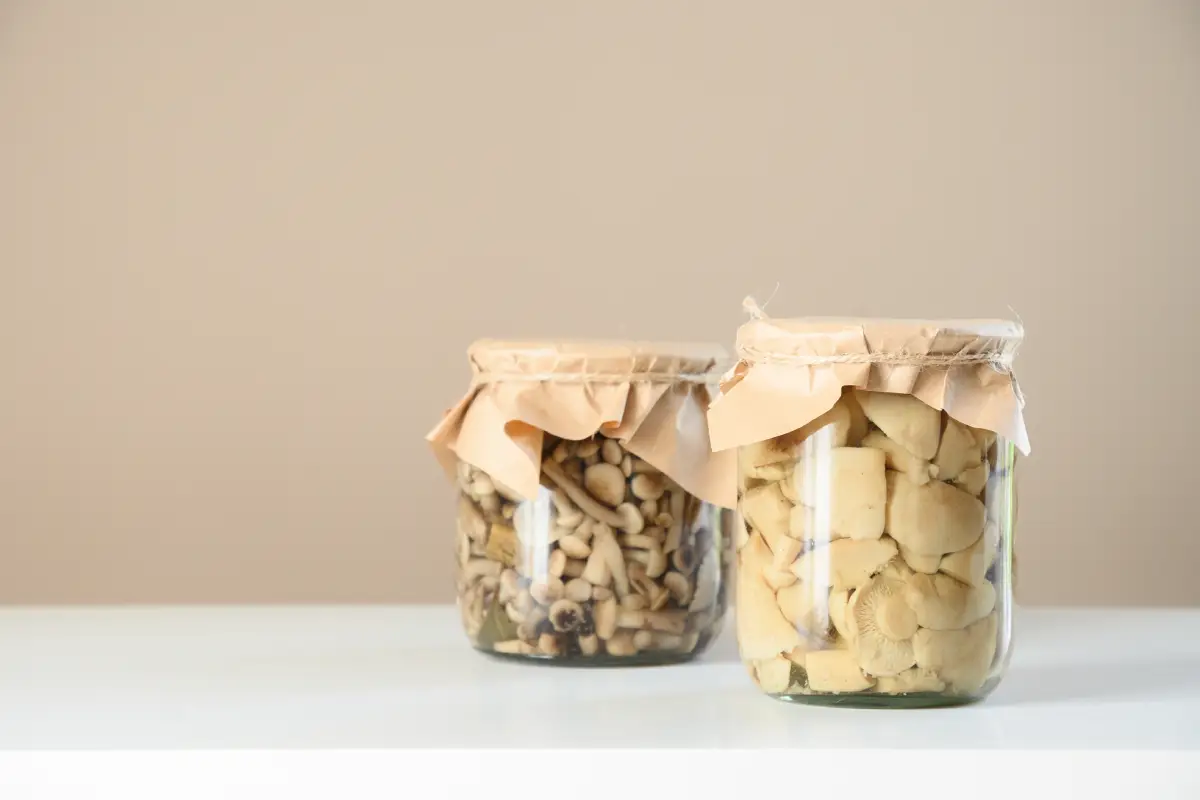 Comment conserver efficacement les champignons ?