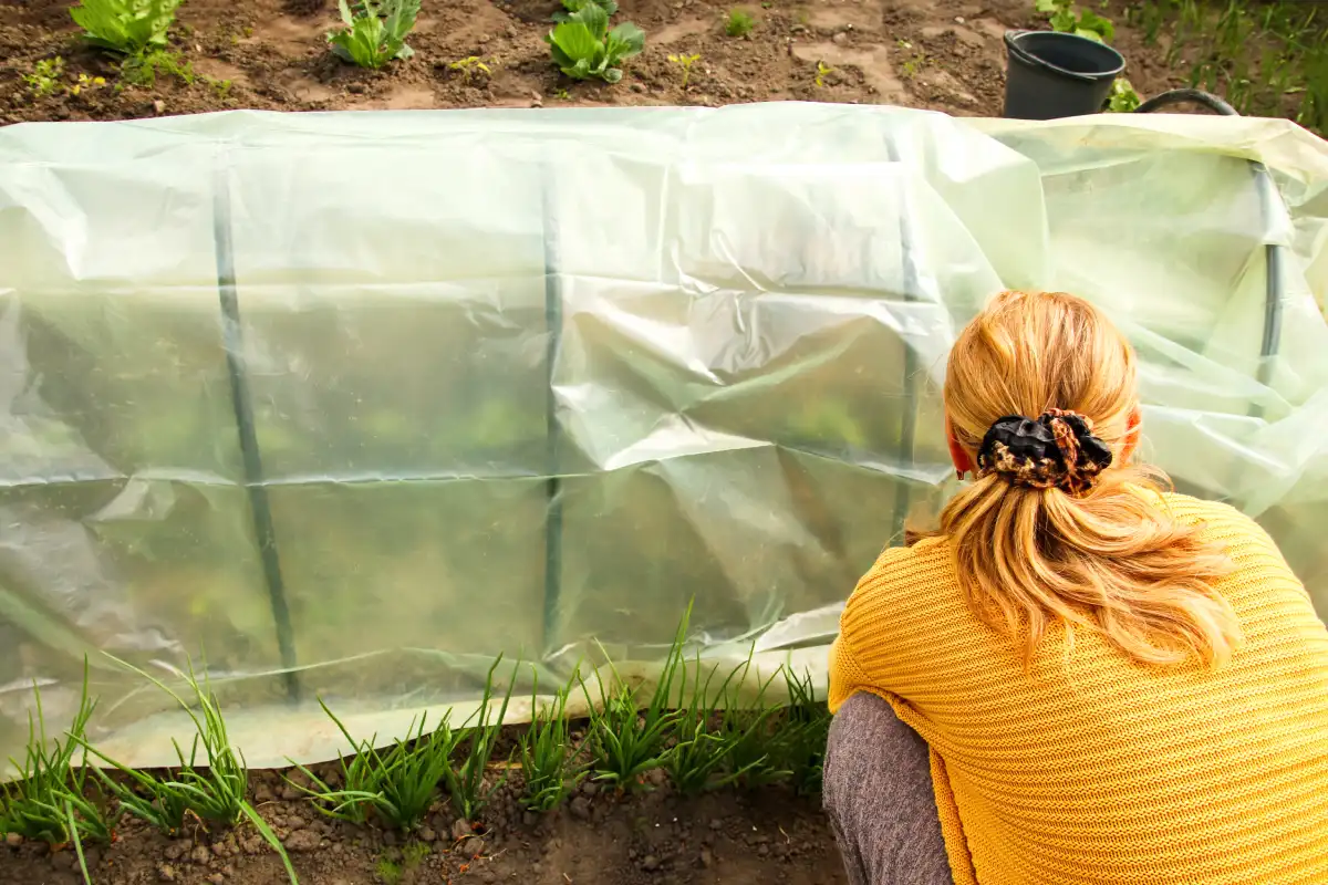 Comment réussir un jardin potager dans une serre tunnel au printemps ?