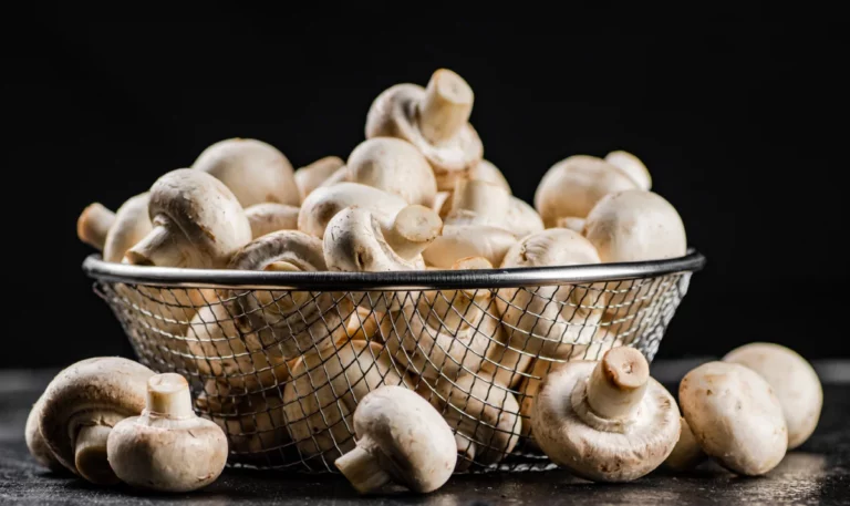 Cultiver des champignons de Paris chez soi : le guide complet