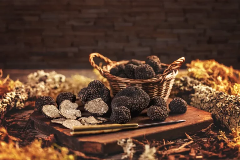 Qu'est-ce qui rend la truffe du Périgord si spéciale ?