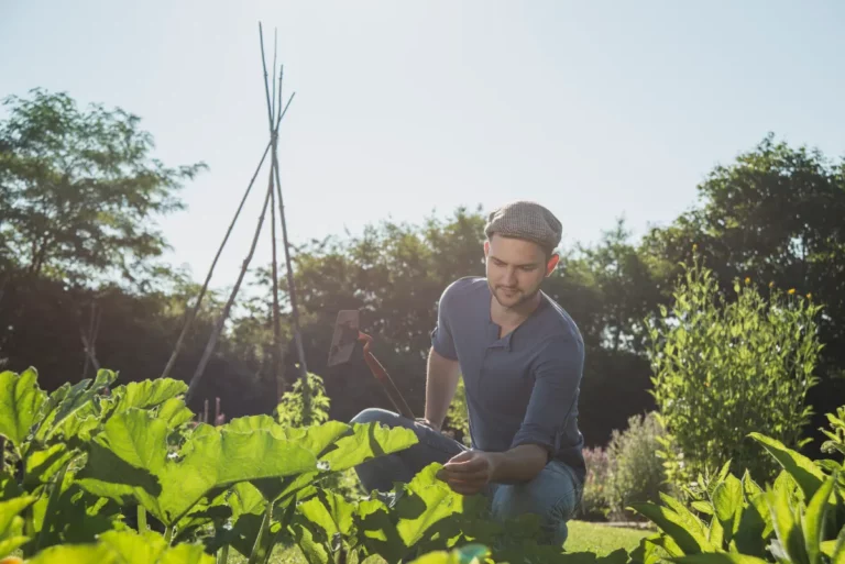 Quels sont les 5 travaux à réaliser dans votre potager ce week-end