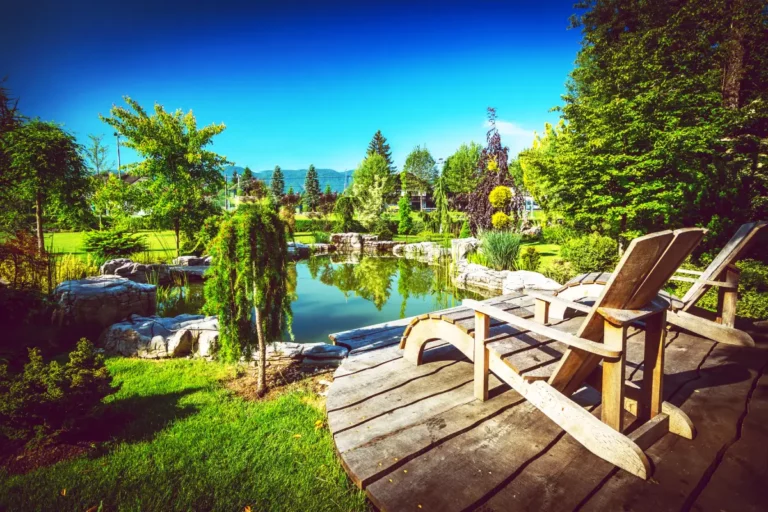 Comment créer un jardin aquatique Zen parfait ?
