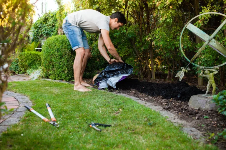 Fertilisation naturelle de votre jardin : quels engrais organiques utiliser ?