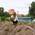 Votre guide des techniques de permaculture pour un potager bio réussi en mars