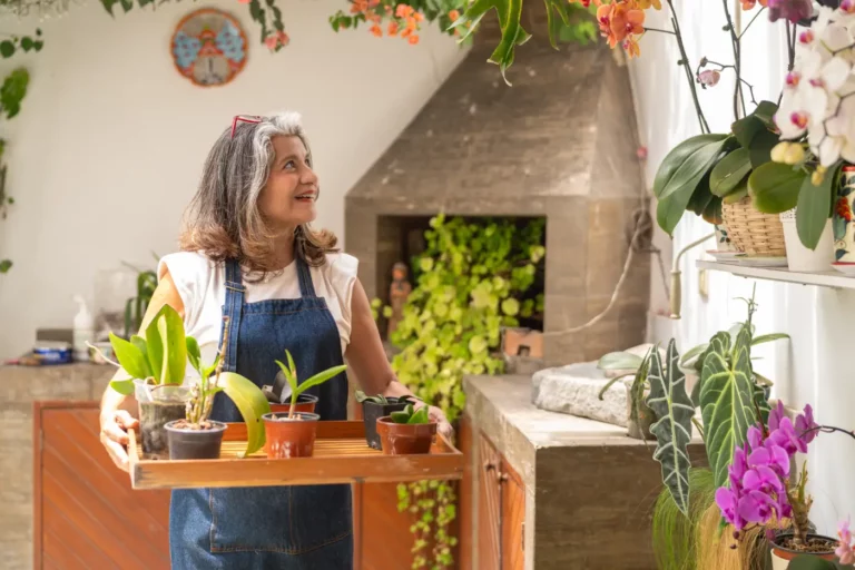 Como começar uma horta em casa: guia para iniciantes