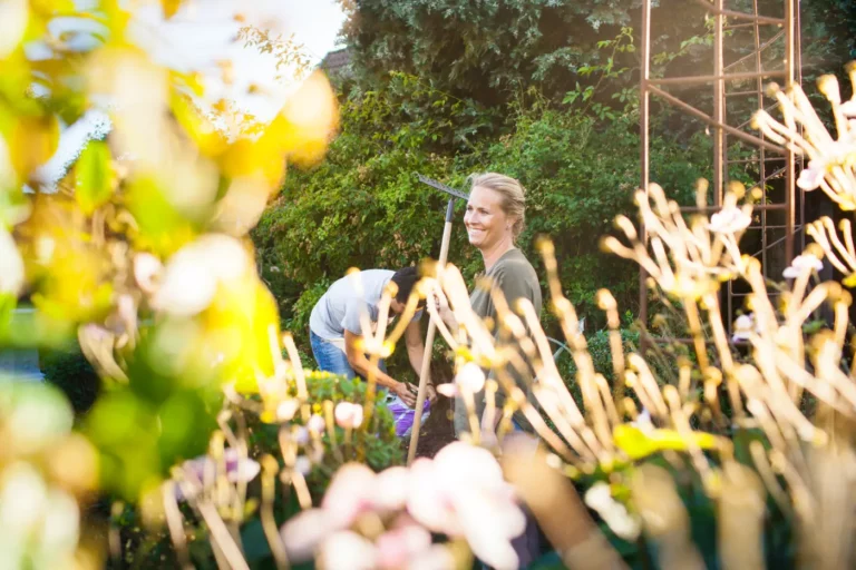 Horta no Verão: Cuidados Essenciais com Suas Plantas
