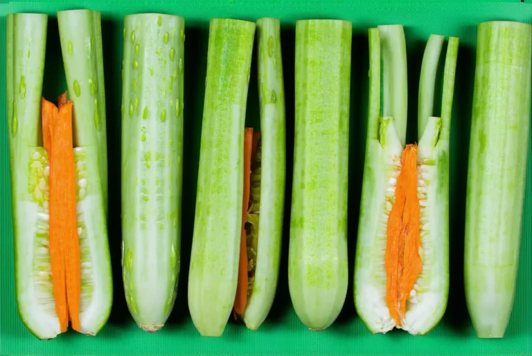 Les radis protègent les concombres, vous saviez ?