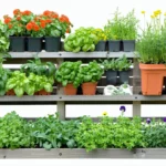 Optimiser un petit potager urbain : astuces de disposition verticale