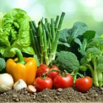 Plantation mixte : comment marier légumes, aromatiques et fleurs