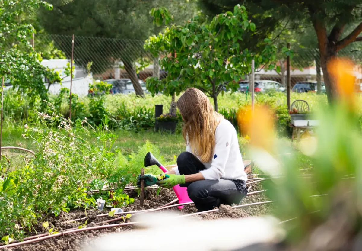 Arrosage du jardin en été : quand et comment économiser 40% d’eau