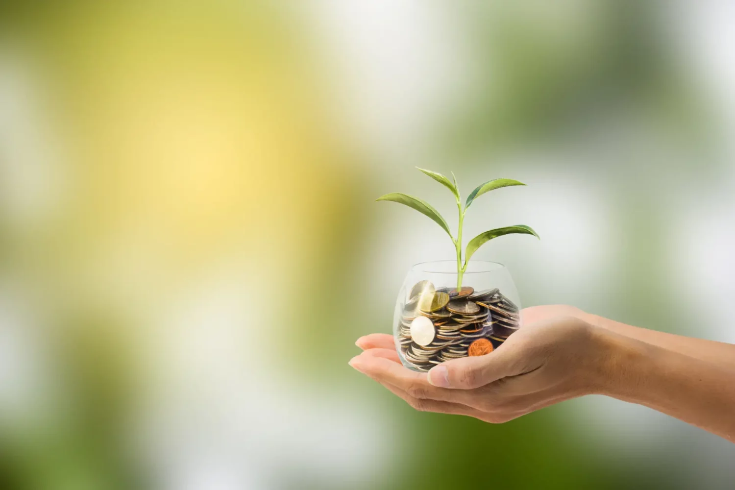Votre jardin peut vous rapporter de l'argent : découvrez comment en 2025