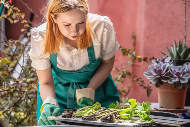Les légumes à planter en juin au potager : le guide complet pour réussir vos semis d'été