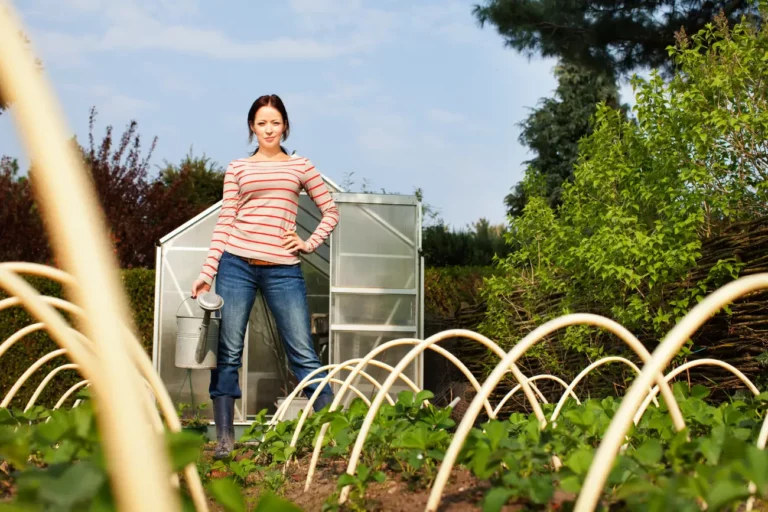 Solstice d'été au jardin : travaux et plantations pour le début de l'été