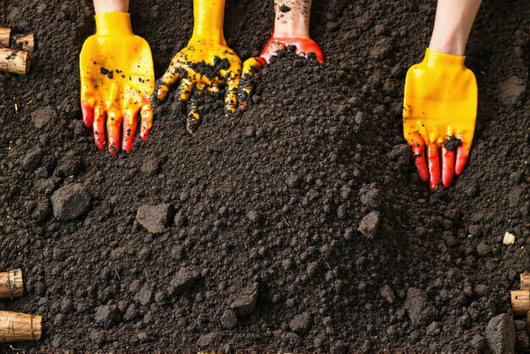Compost d’automne : les recettes simples et erreurs à éviter