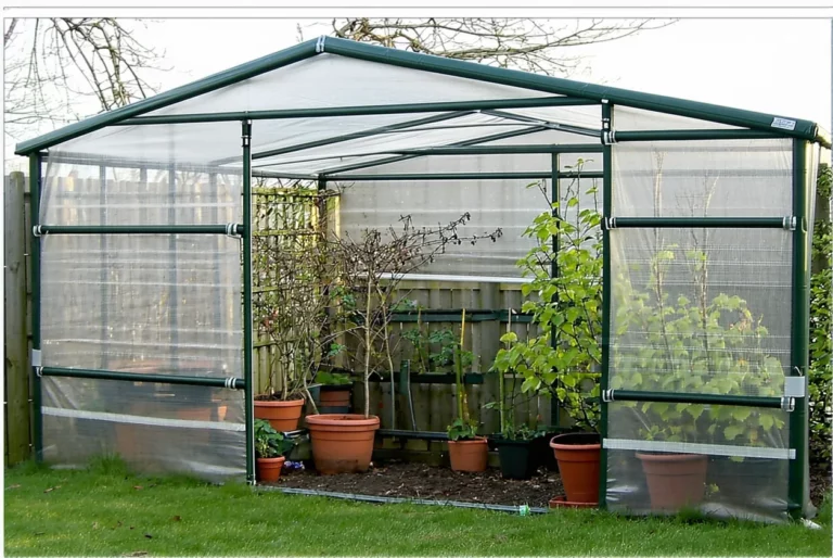Utilisation hivernale de votre abri de jardin comme serre froide ou jardinerie d’hiver