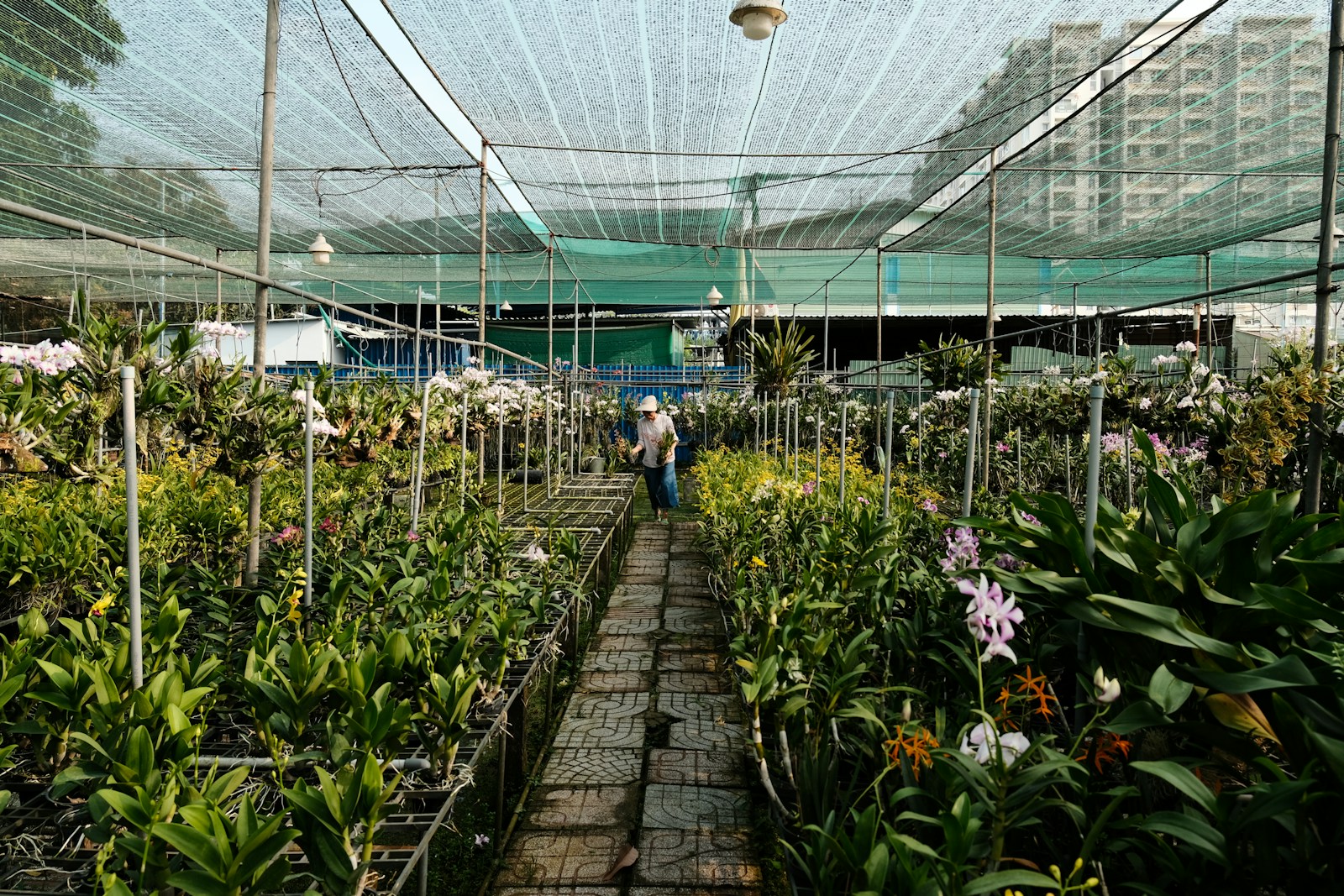 a group of people standing in a greenhouse filled with lots of plants