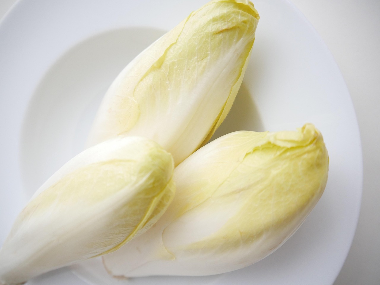 chicory, vegetables, food, healthy, fresh, organic, cook, cooking, eat, eating, vitamins, chicory, chicory, chicory, chicory, chicory