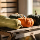 Courges encore vertes en fin de saison : ce qui peut encore changer après la récolte