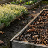 Terre nue en hiver : ce que votre potager perd vraiment entre octobre et mars